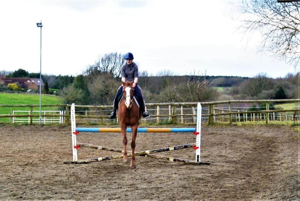 Hillfields Farm Barn - A Rural Equestrian Escape Apartment Coventry Exterior foto